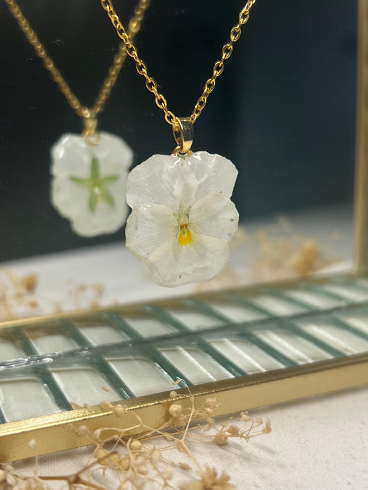 Collar de Viola Blanca