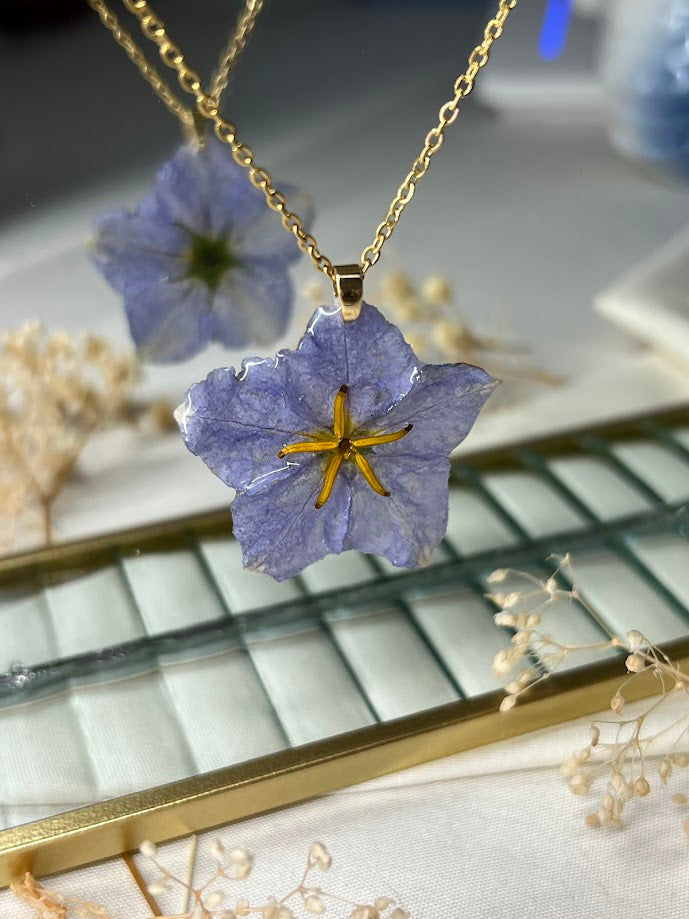 Collar de Flor de "Ortiga de Carolina"