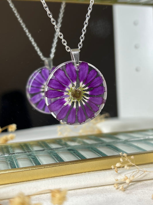 Collar de Cineraria Lila