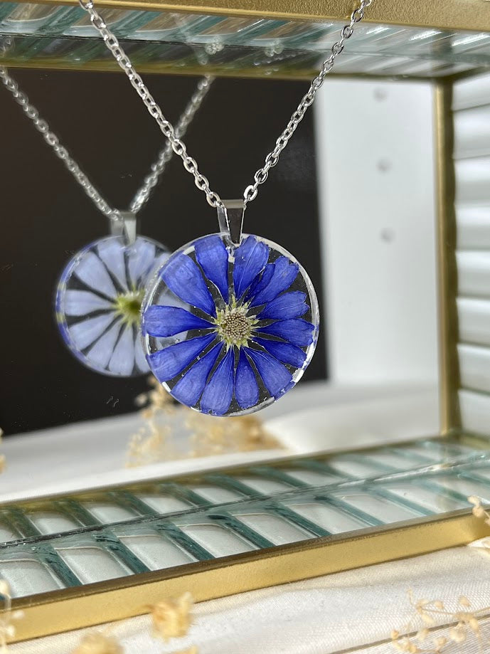 Collar de Cineraria Azul