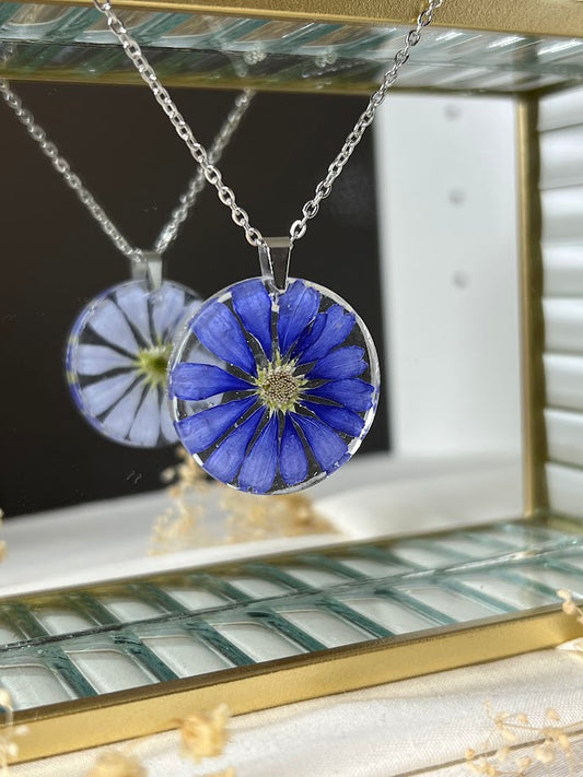 Collar de Cineraria Azul