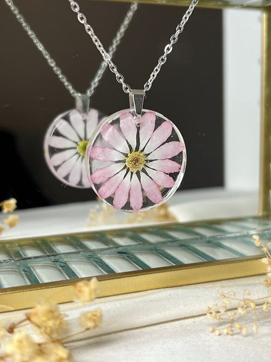 Collar de Cineraria Rosa