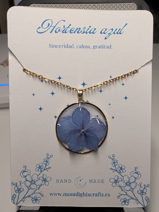 Collar de Hortensia azulada